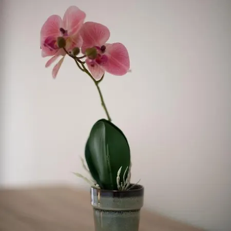 Lägenhet Yellow House Sarajevo